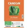 Canson - Beaux Arts - Papier Dessin Et Loisirs Créatifs - 25 Feuilles Lisses - A4 - Tons Verts -Millejouets canson beaux arts papier dessin et loisirs creatifs 25 feuilles lisses a4 tons verts