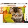 Ravensburger Nathan - Puzzle 1500 Pièces - Chaton En Automne -Millejouets nathan puzzle 1500 pieces chaton en automne