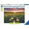 Ravensburger - Puzzle 500 Pièces - Pissenlits Au Crépuscule -Millejouets ravensburger puzzle 500 pieces pissenlits au crepuscule